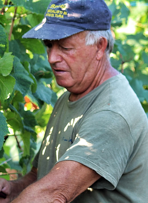 Lele Piaggi
